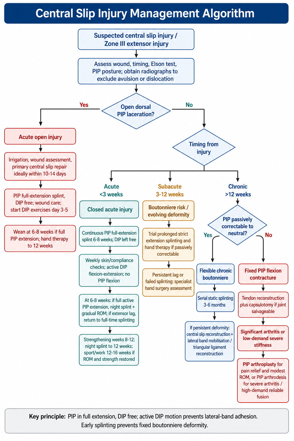 Central slip injury management algorithm flowchart