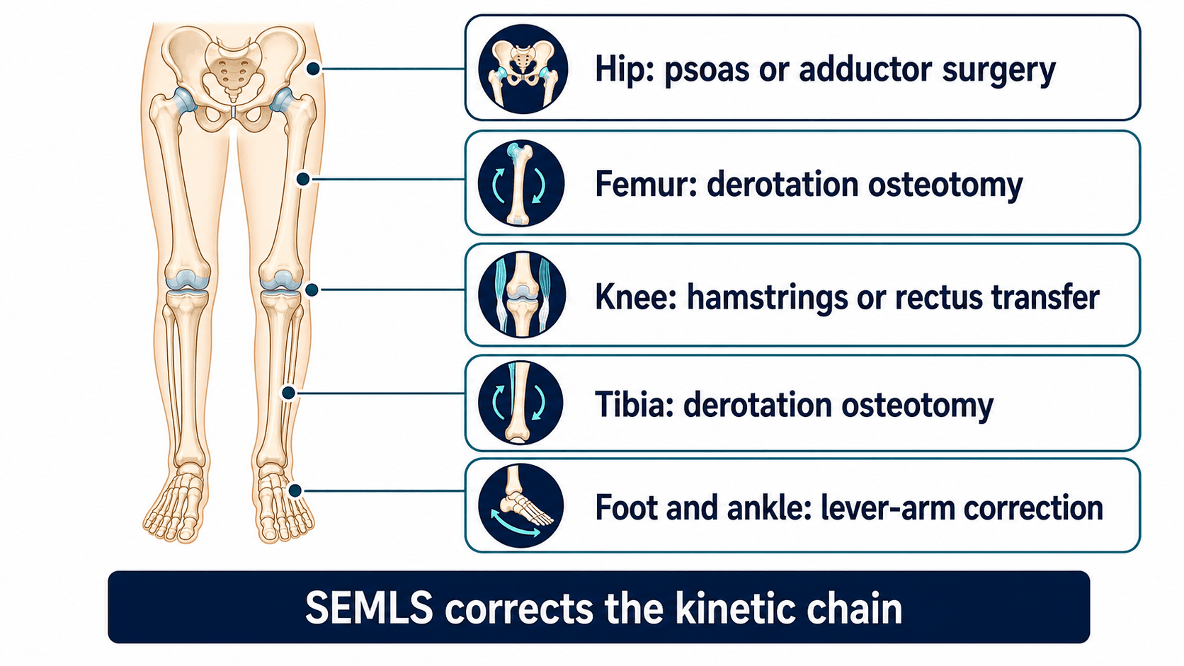 SEMLS procedure level map showing hip, femur, knee, tibia, foot and ankle correction levels
