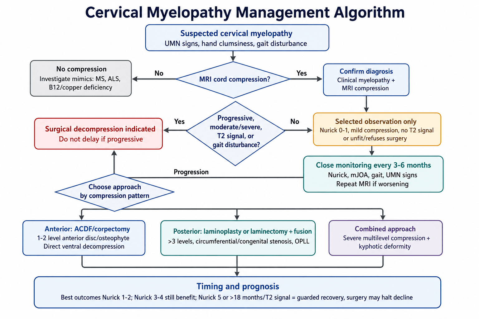 cervical myelopathy management algorithm