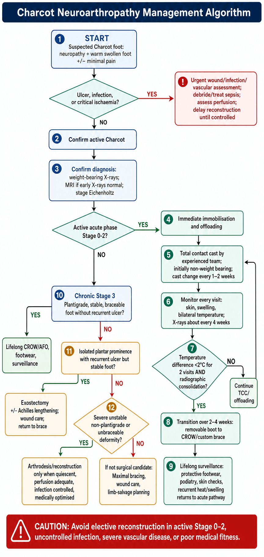 charcot arthropathy management algorithm