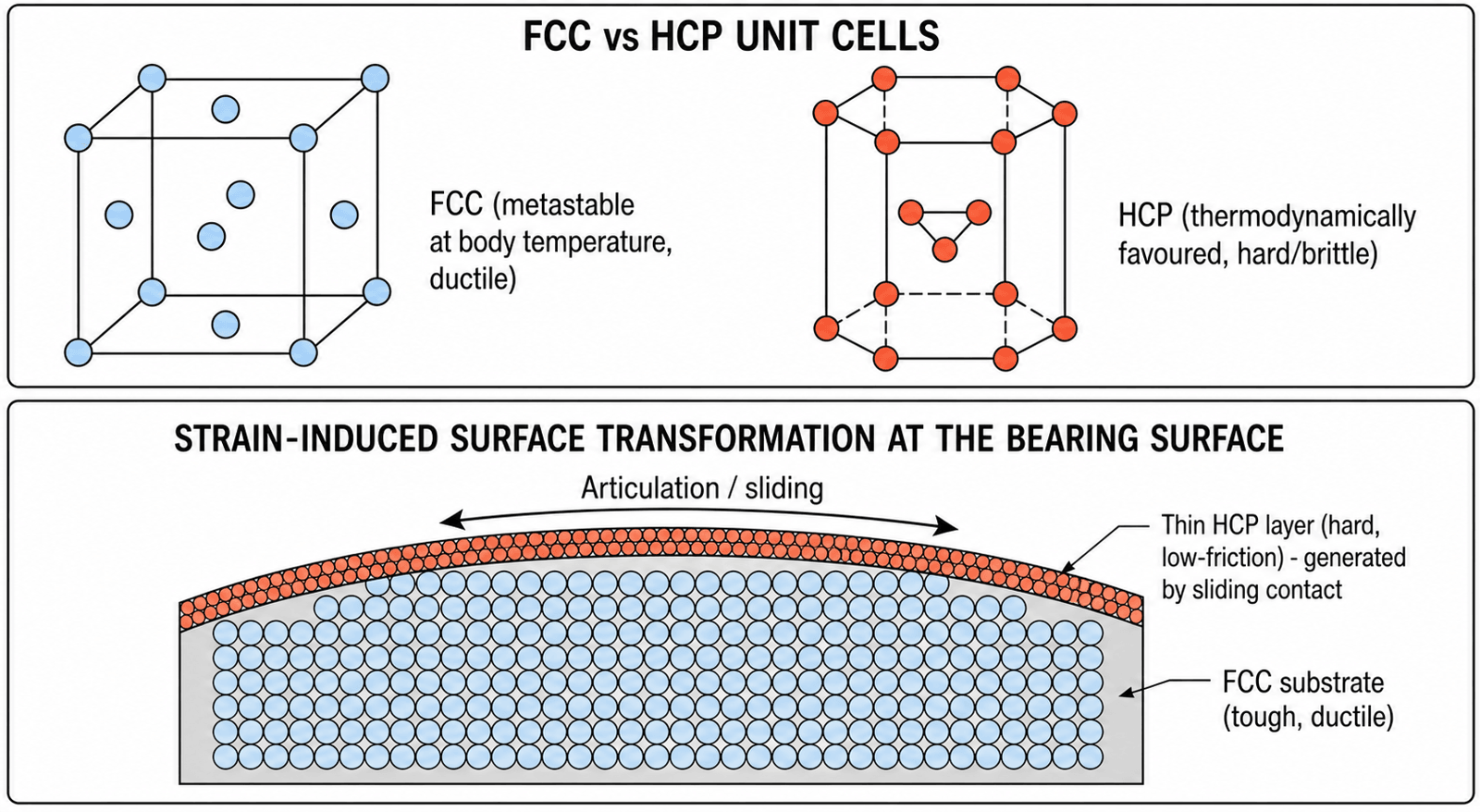 Schematic of FCC versus HCP unit cells and the strain-induced HCP surface layer generated at a CoCr bearing surface by sliding contact