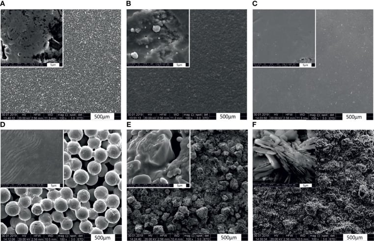 SEM microphotographs of CoCrMo implant surface modifications at two magnifications