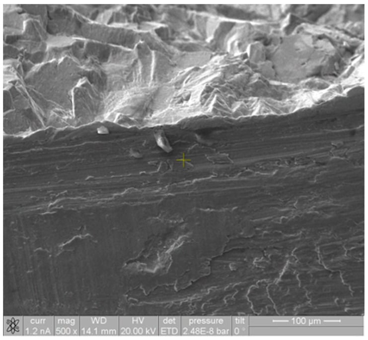 SEM at the fracture boundary of a failed CoCr trunnion, the scratched lateral surface below the fracture surface