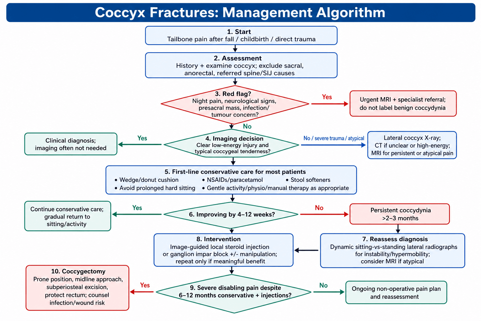 coccyx fractures management algorithm