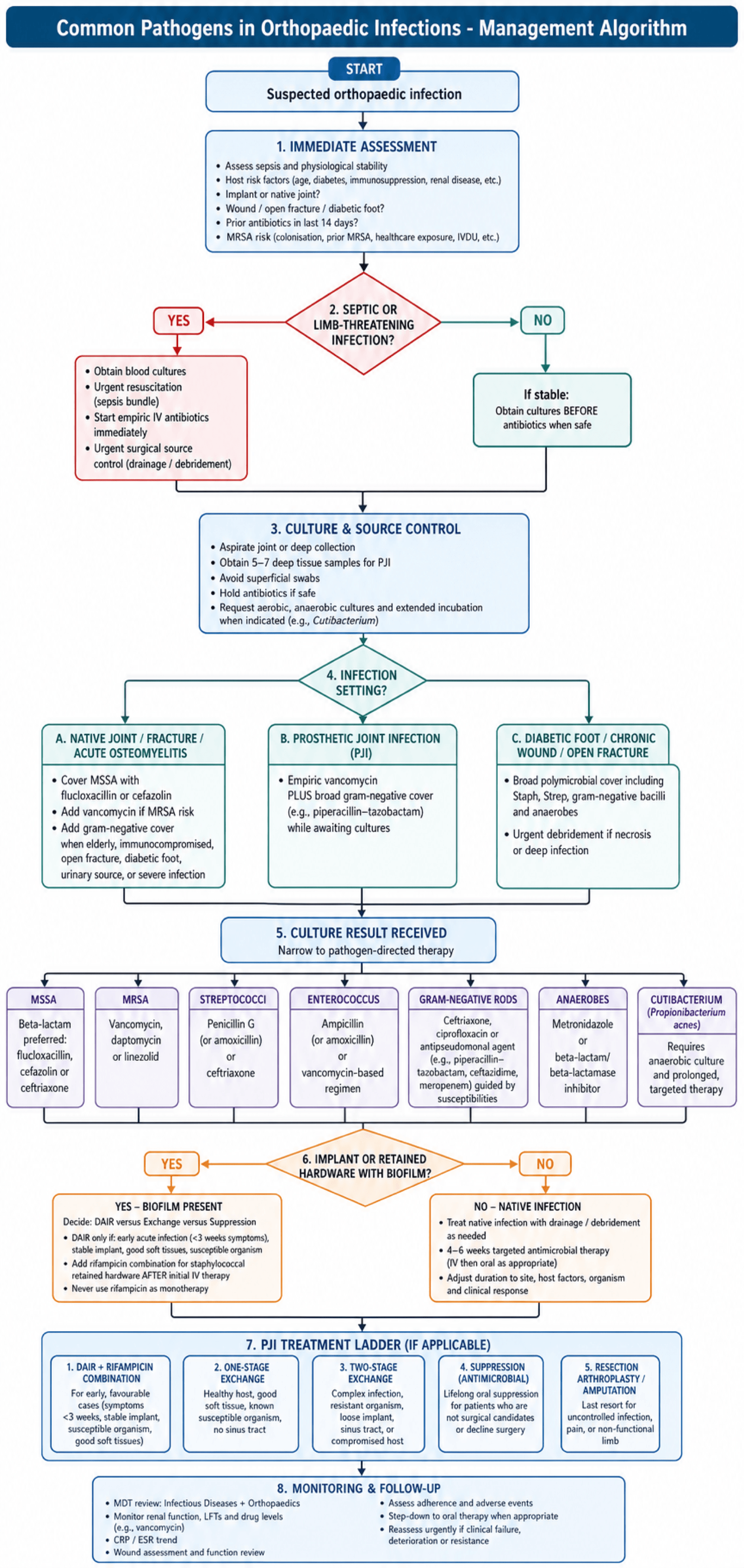 Stepwise management algorithm for suspected orthopaedic infection