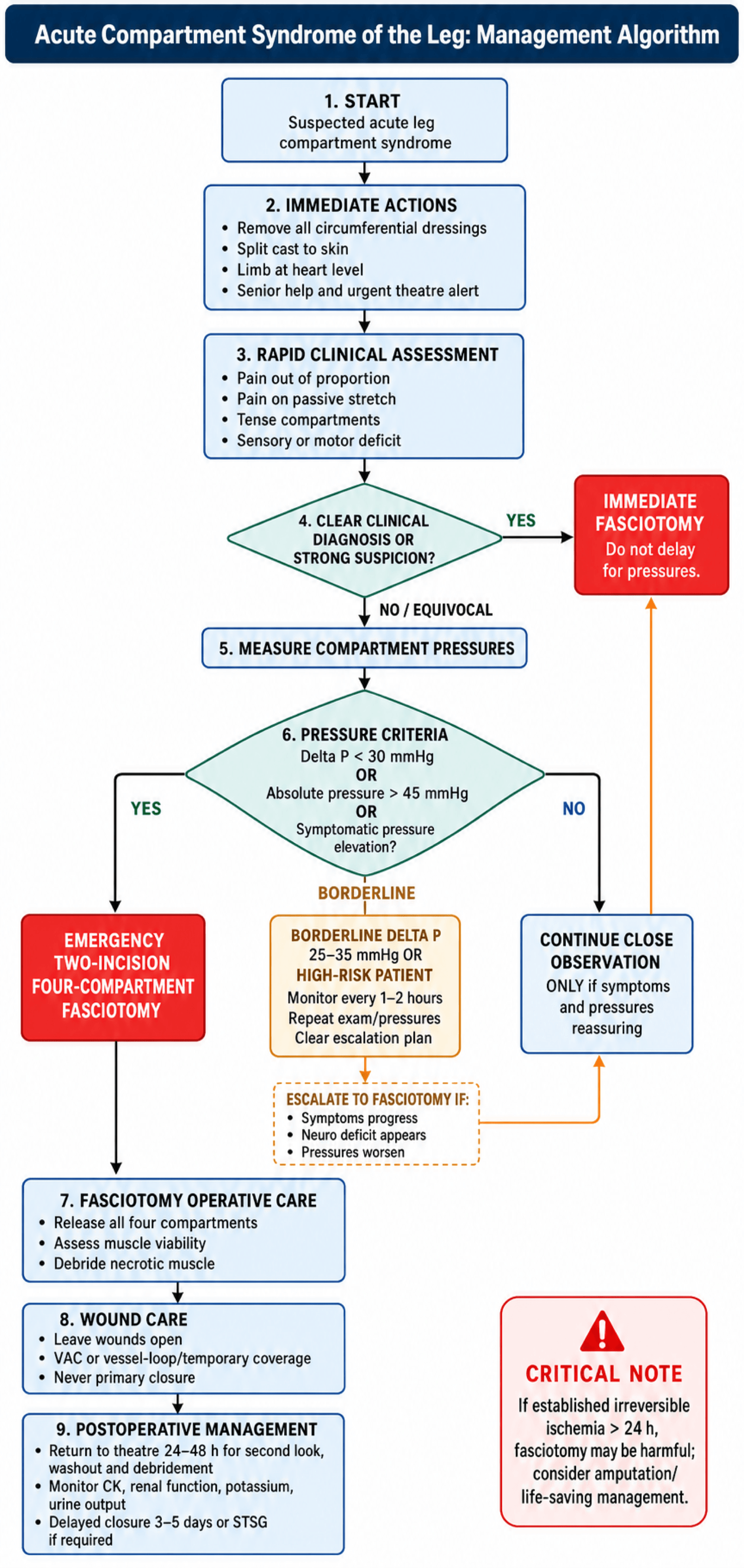 Flowchart: management algorithm for acute compartment syndrome of the leg.