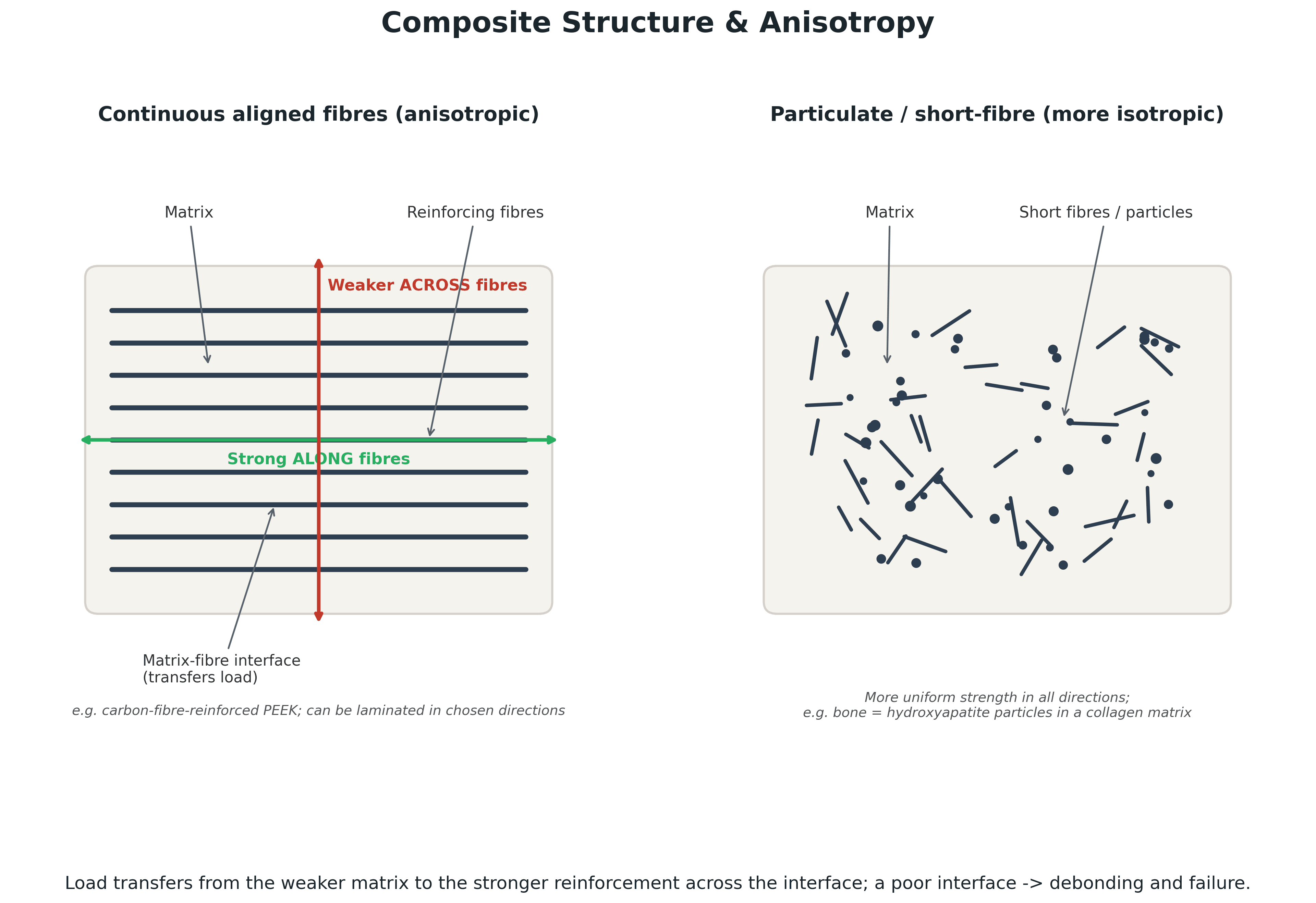 Schematic of composite structure: continuous aligned fibres in a matrix (anisotropic, strong along the fibres) versus scattered short fibres and particles (more isotropic)