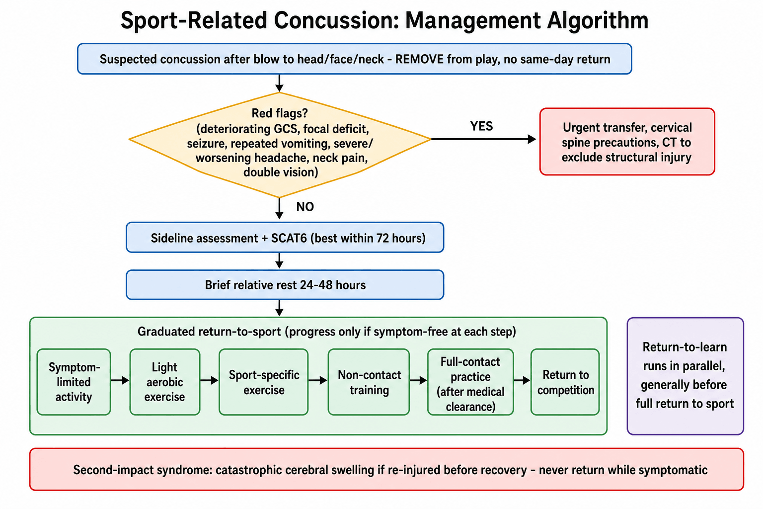 Flowchart of sport-related concussion management: remove from play, check for red flags requiring CT, sideline assessment and SCAT6, brief rest, then a graduated six-step return-to-sport progression, with a second-impact syndrome warning