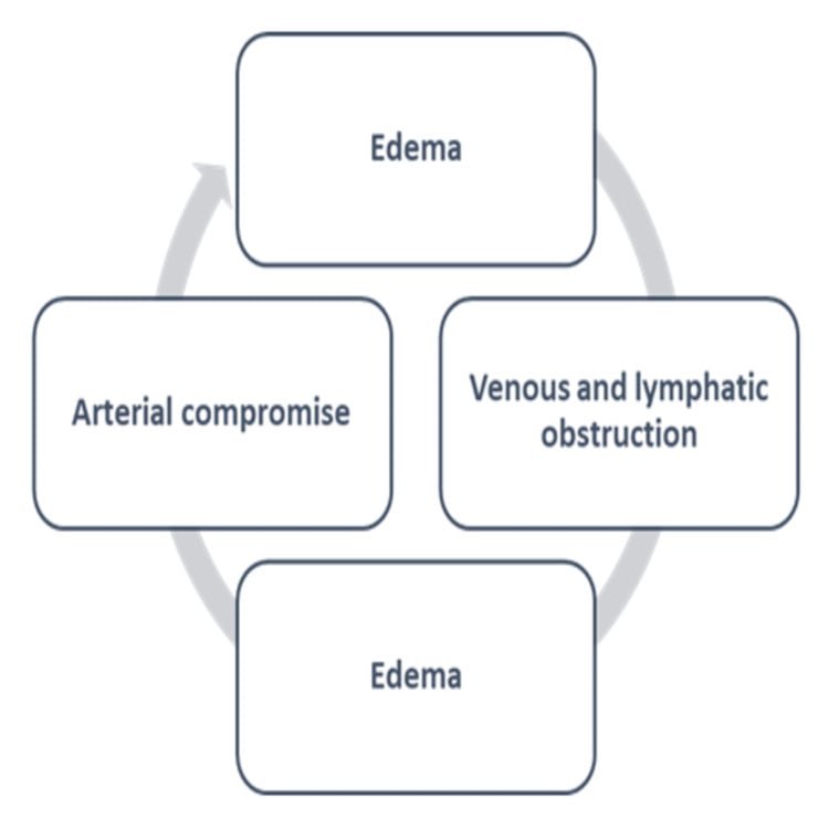 Diagram of the constriction cycle in which oedema leads to venous and lymphatic obstruction, then arterial compromise, then further oedema