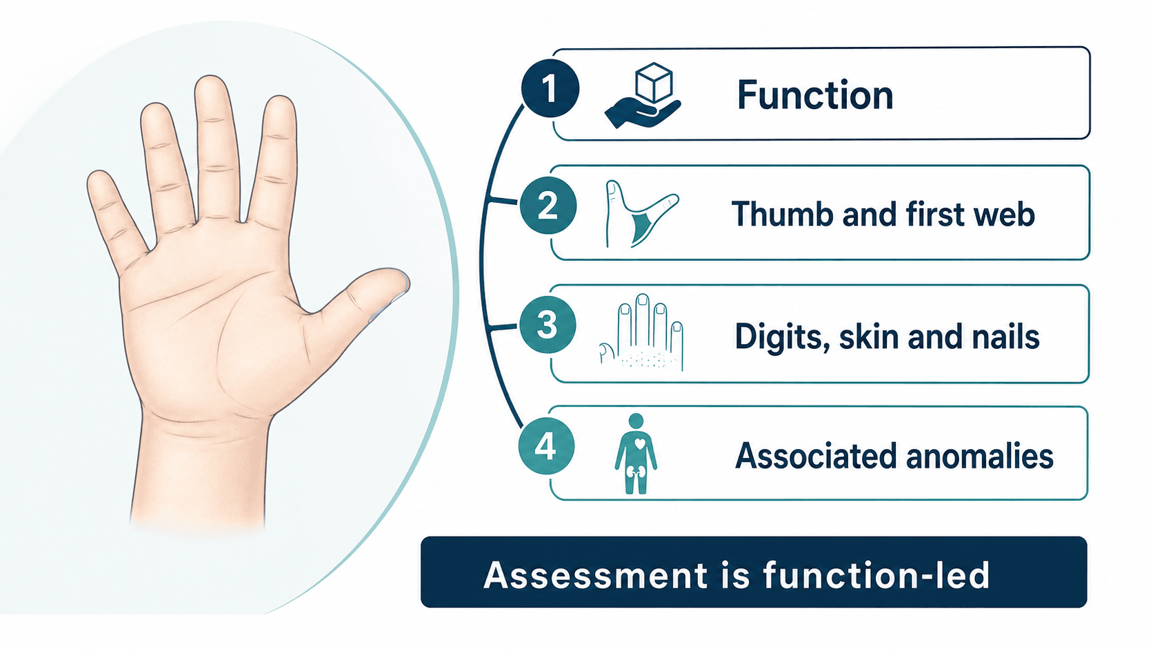 Congenital hand assessment framework showing function, thumb and first web, digits skin nails, and associated anomalies