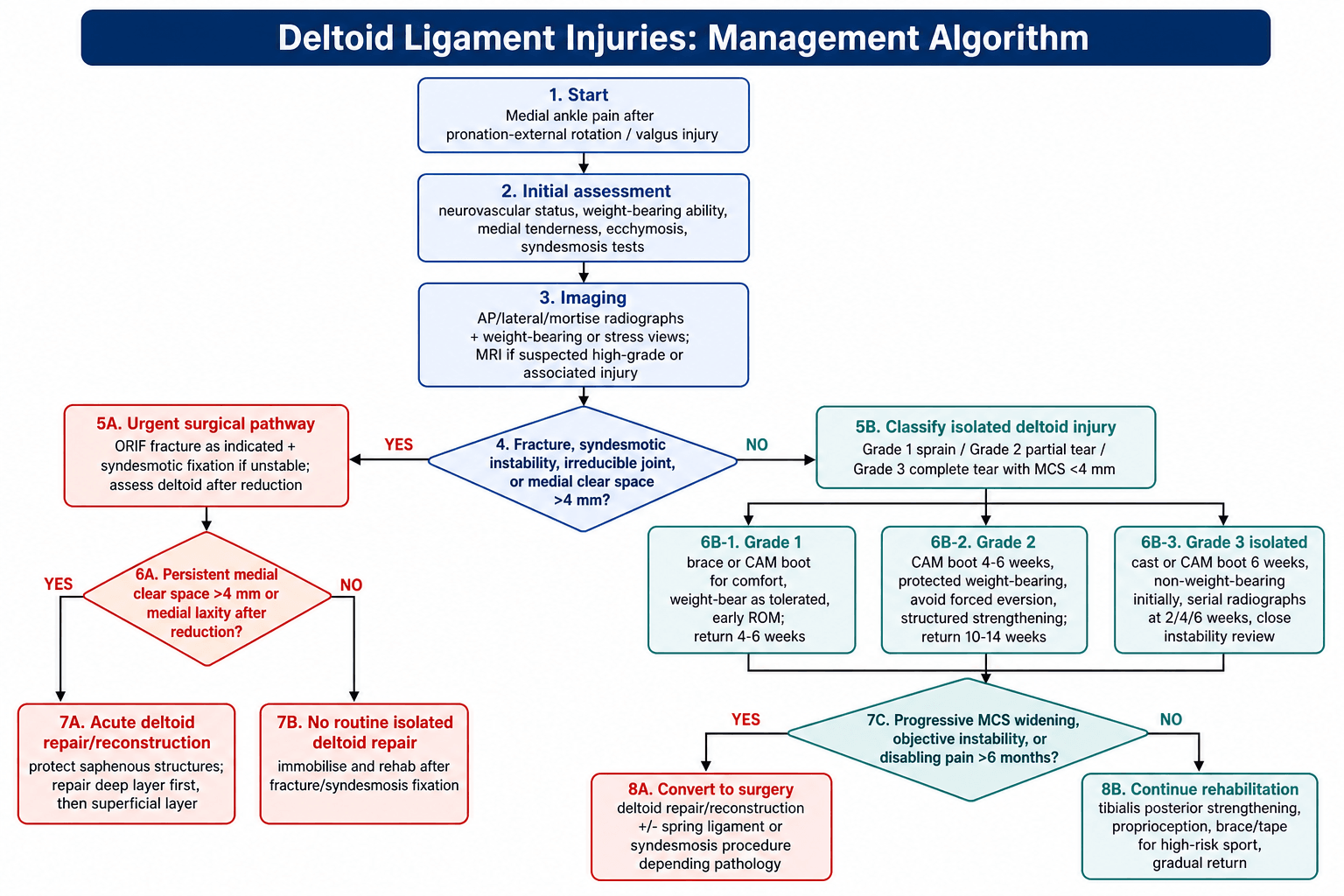 Deltoid ligament injuries management algorithm from presentation through the surgical and isolated-injury pathways.