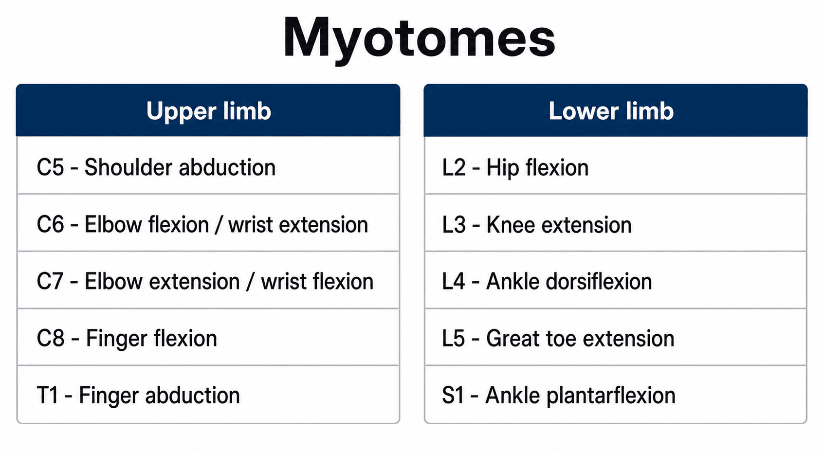 Reference chart of the key myotomes (segmental motor levels) of the upper and lower limb with their test movements.