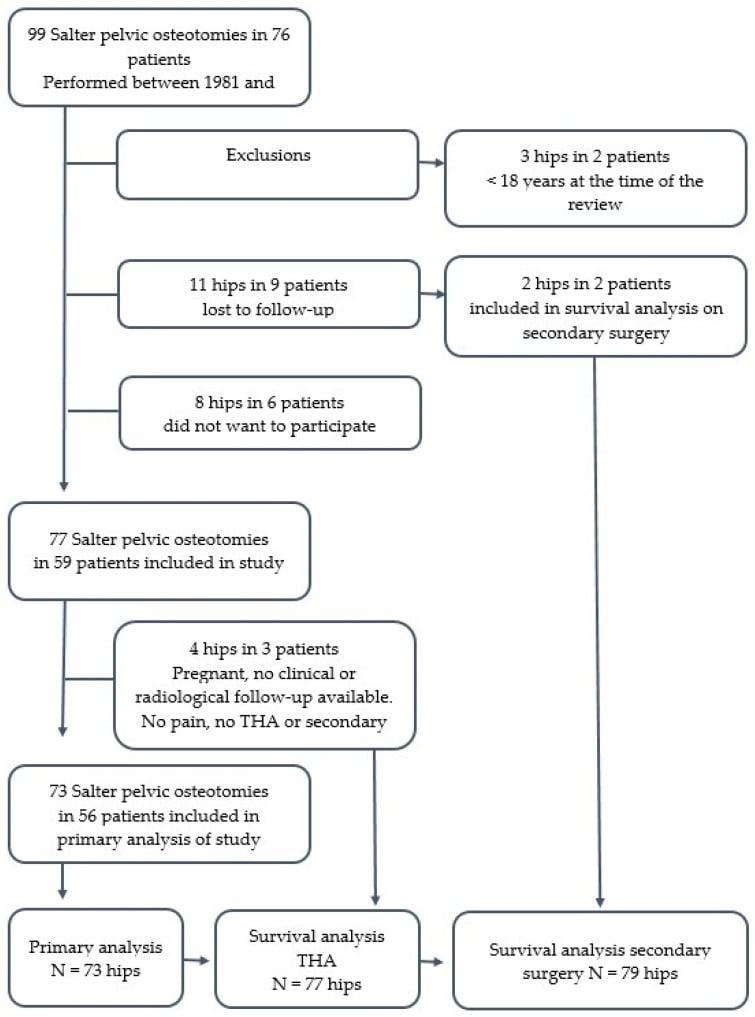 Flow diagram of a Salter pelvic osteotomy cohort: 99 osteotomies in 76 patients narrowed by exclusions and losses to follow-up to 73 hips in the primary analysis.