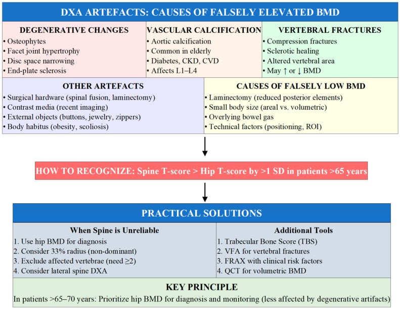 Diagram summarising DXA artefacts that falsely elevate or lower BMD and practical interpretation checks.