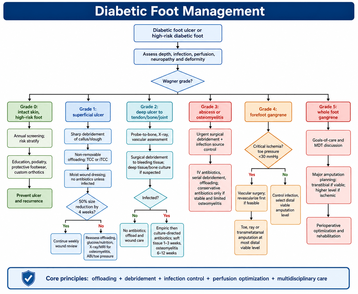 Diabetic Foot Ulcer Management Algorithm