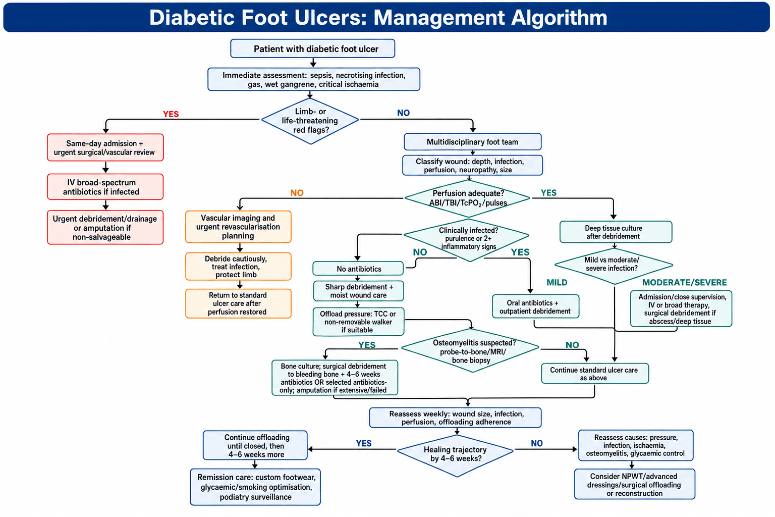 diabetic foot ulcers management algorithm