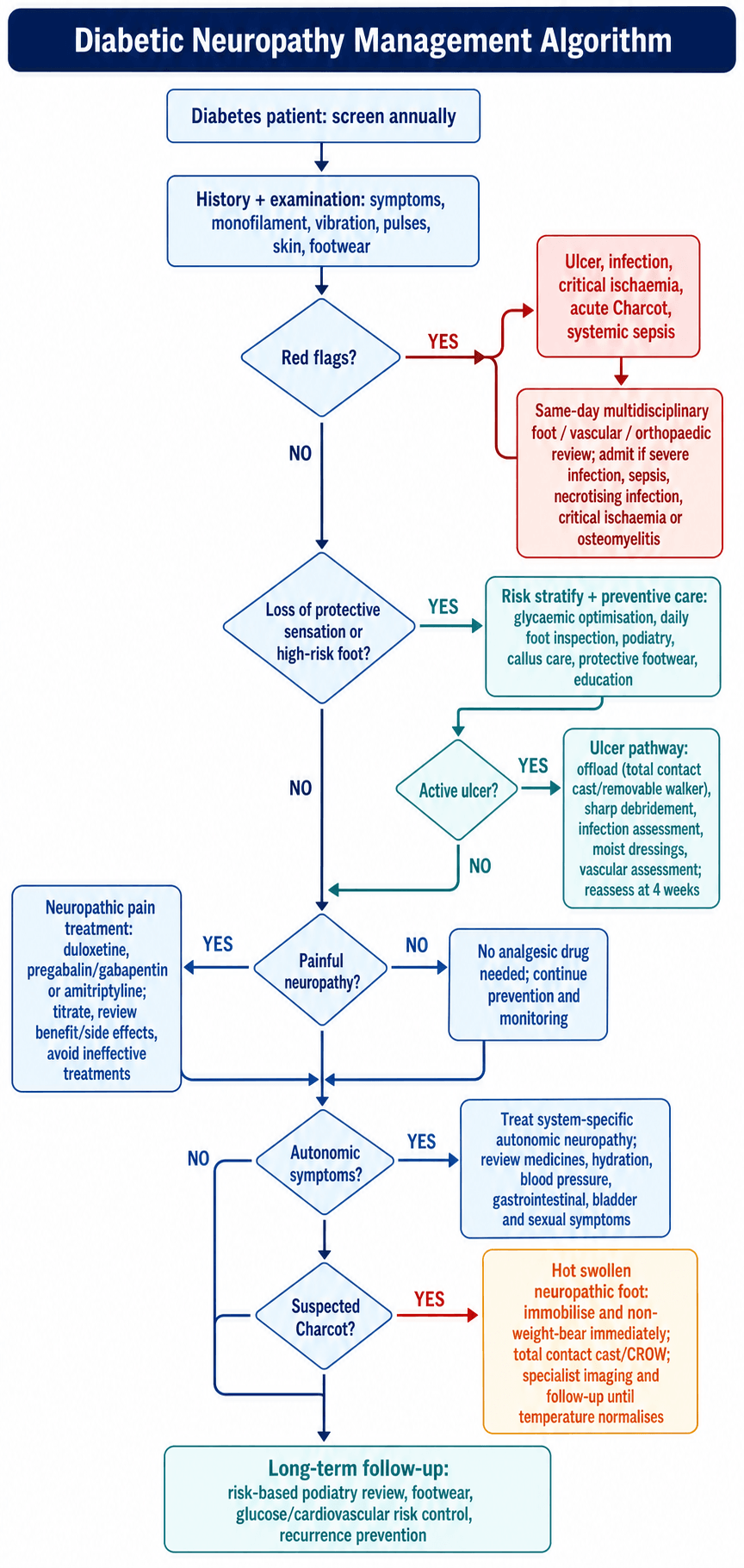 Flowchart for diabetic neuropathy management from annual screening through red-flag triage, preventive care, the ulcer pathway, neuropathic pain, autonomic symptoms and suspected Charcot.