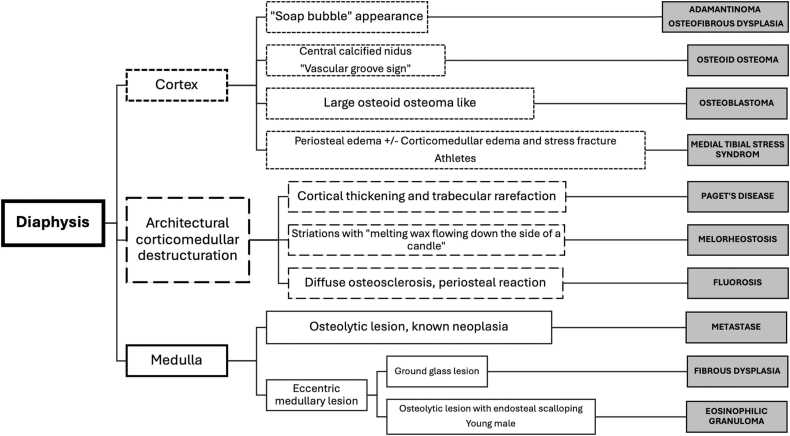 Decision algorithm for osseous diaphyseal lesions by cortex, architecture and medulla.