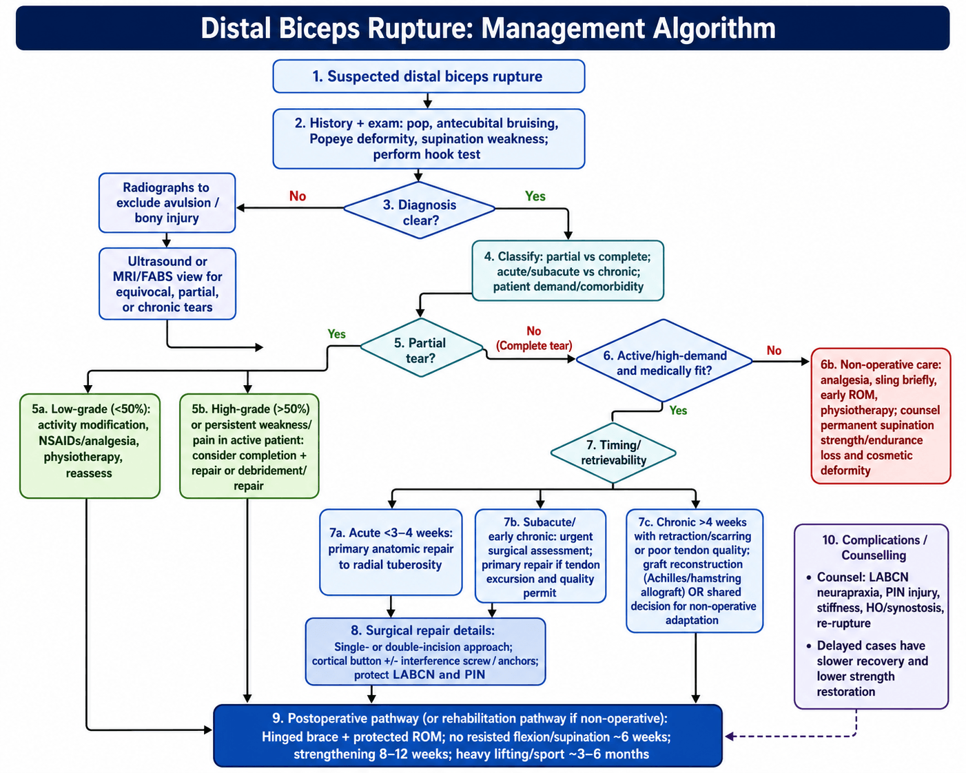 Management algorithm for Distal Biceps Rupture