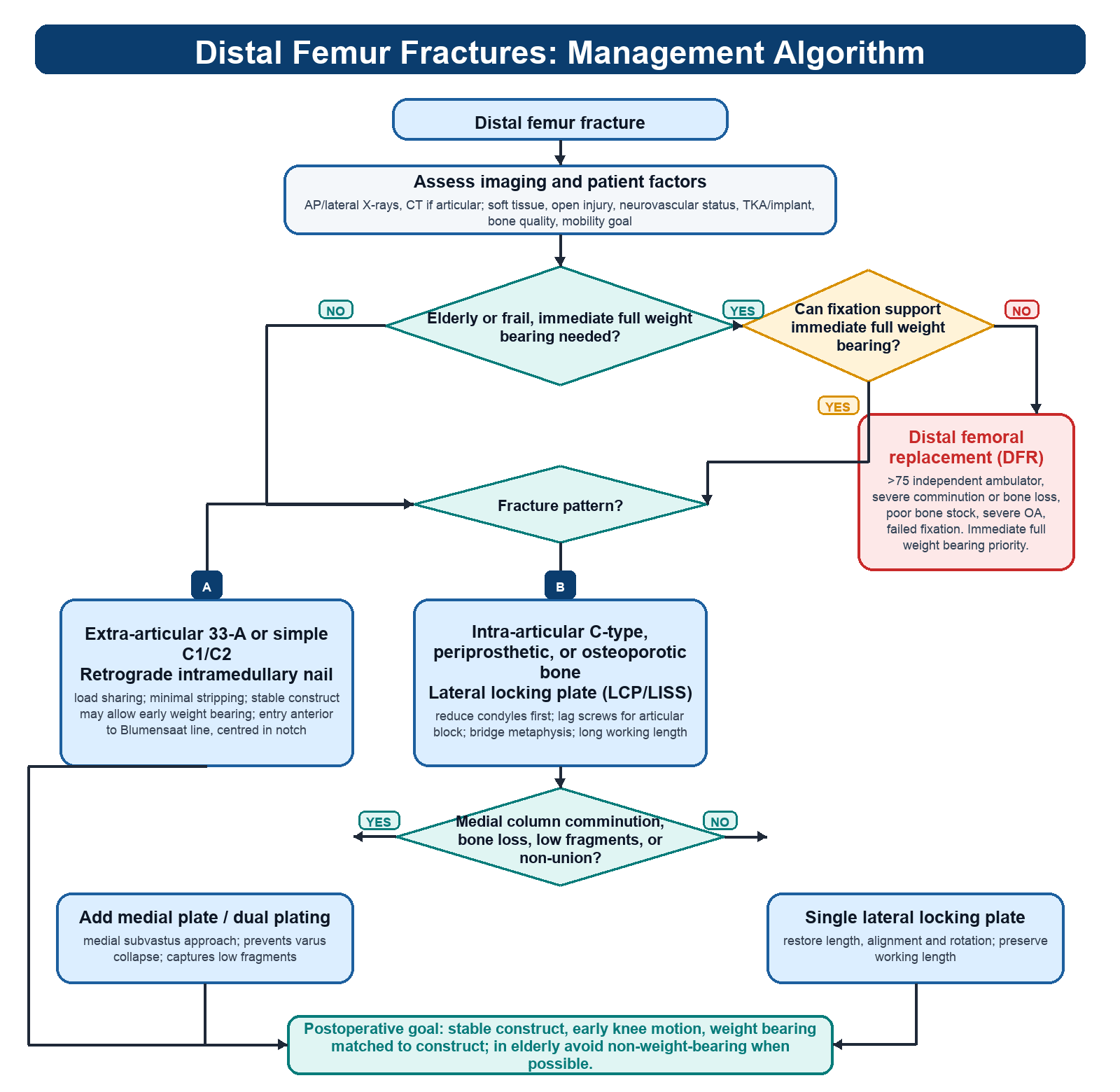 Distal Femur Fracture Management Algorithm diagram