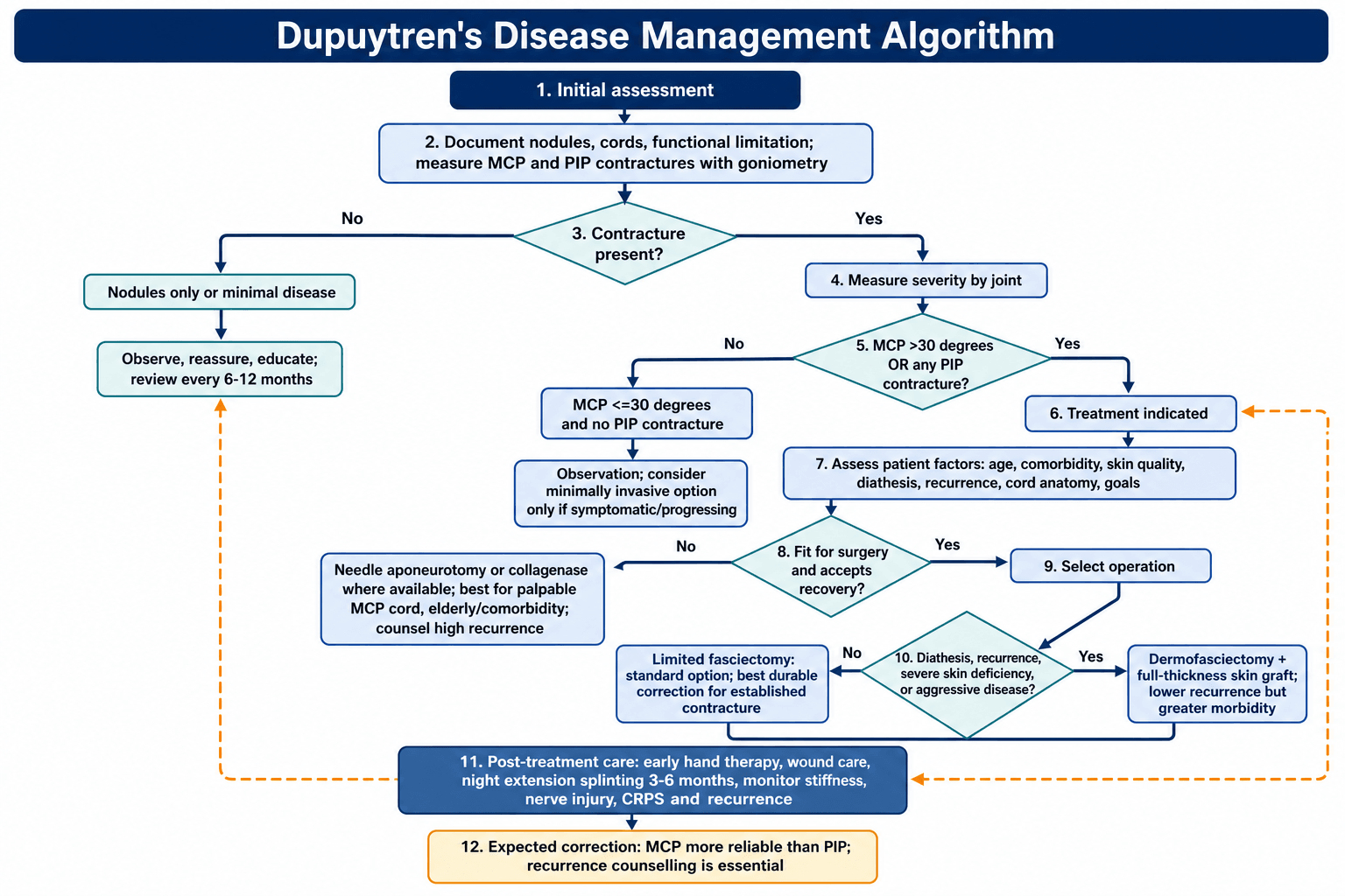 Dupuytren's disease management algorithm branching by contracture severity into observation, minimally invasive treatment, limited fasciectomy and dermofasciectomy.