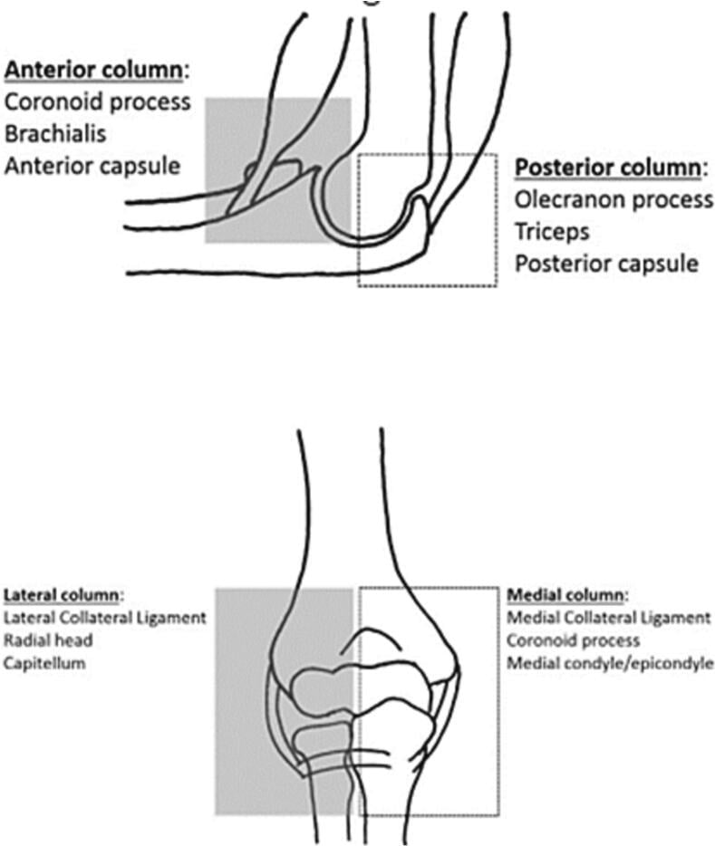 Four-column model of static and dynamic elbow stabilisers