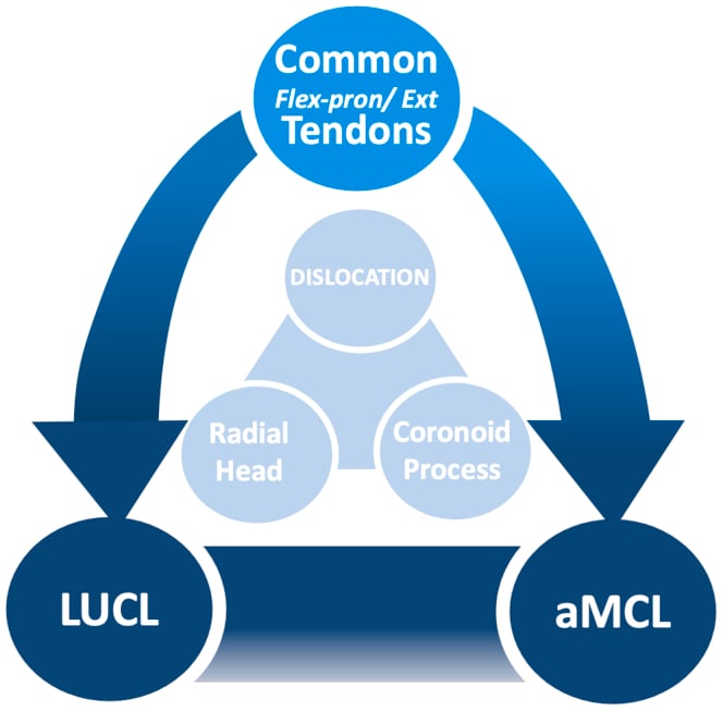 Terrible triad injury pattern linking radial head, coronoid and ligament failure