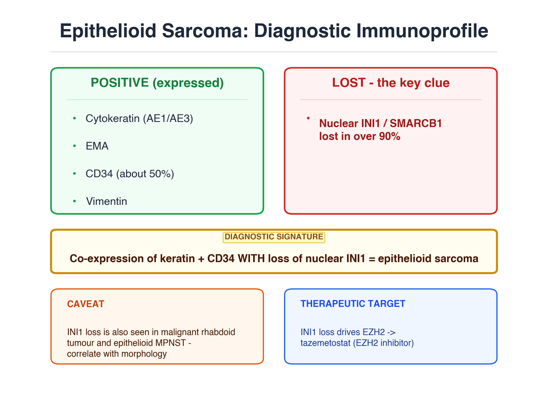Diagnostic immunoprofile of epithelioid sarcoma showing positive markers and the characteristic loss of nuclear INI1/SMARCB1
