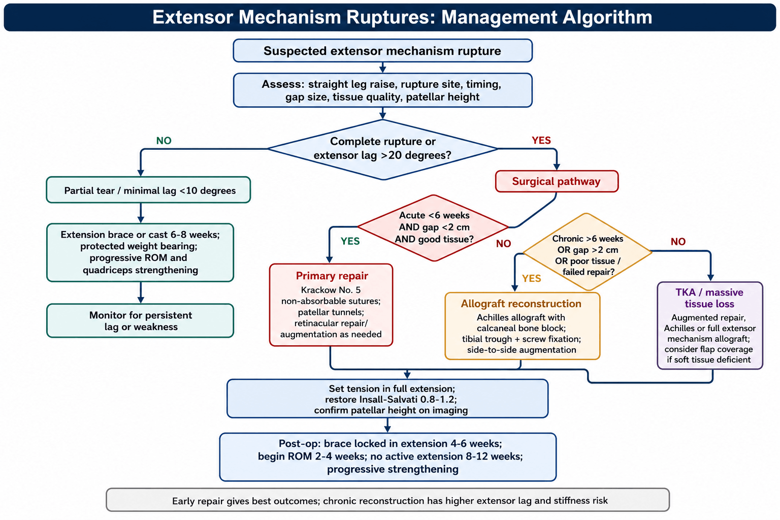 extensor mechanism ruptures management algorithm