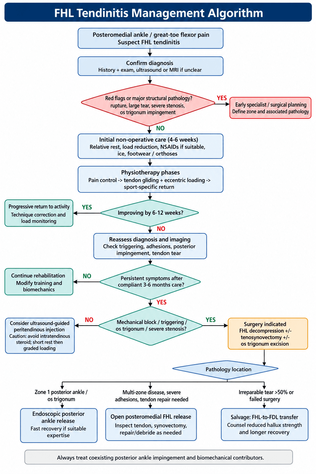 Management algorithm for FHL tendinitis from diagnosis through non-operative care to zone-based surgical decompression and FHL-to-FDL salvage transfer.