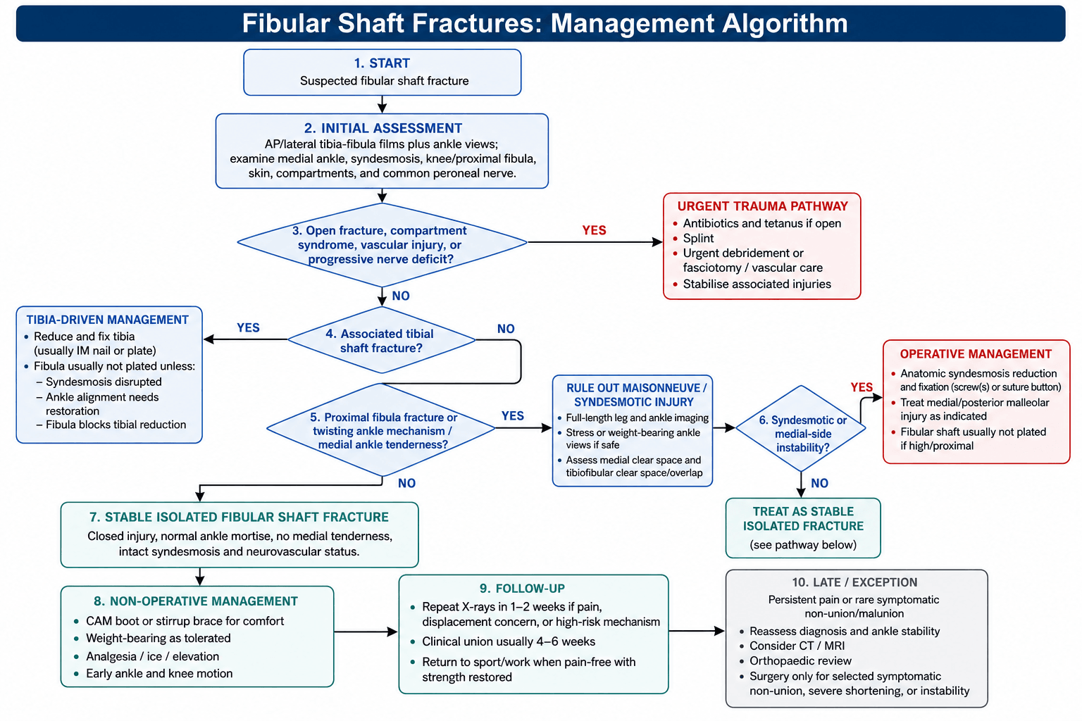fibular shaft fractures management algorithm