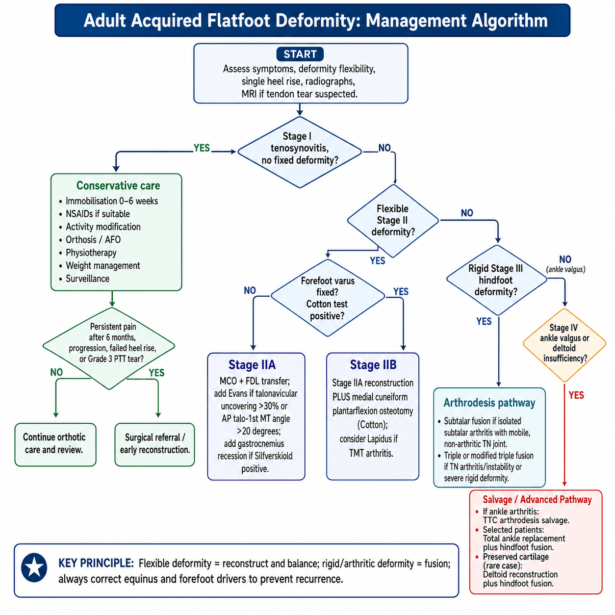 Adult acquired flatfoot deformity management algorithm: assess symptoms, deformity flexibility, single heel rise and weight-bearing radiographs (MRI if a tendon tear is suspected); Stage I tenosynovitis without fixed deformity is treated with conservative care (immobilisation, orthosis/AFO, physiotherapy, weight management) escalating to surgical referral if pain persists beyond 6 months, deformity progresses or there is a Grade 3 PTT tear; a flexible Stage II deformity is assessed with the Cotton test, treated as Stage IIA (medialising calcaneal osteotomy plus FDL transfer, adding lateral column lengthening for marked talonavicular uncovering and gastrocnemius recession if Silfverskiold positive) or, if forefoot varus is fixed, as Stage IIB (adding a medial cuneiform Cotton osteotomy or Lapidus); a rigid Stage III deformity is treated by arthrodesis (isolated subtalar fusion or triple/modified triple fusion); Stage IV ankle valgus with deltoid insufficiency follows a salvage pathway (TTC arthrodesis, total ankle replacement with hindfoot fusion, or deltoid reconstruction with hindfoot fusion).