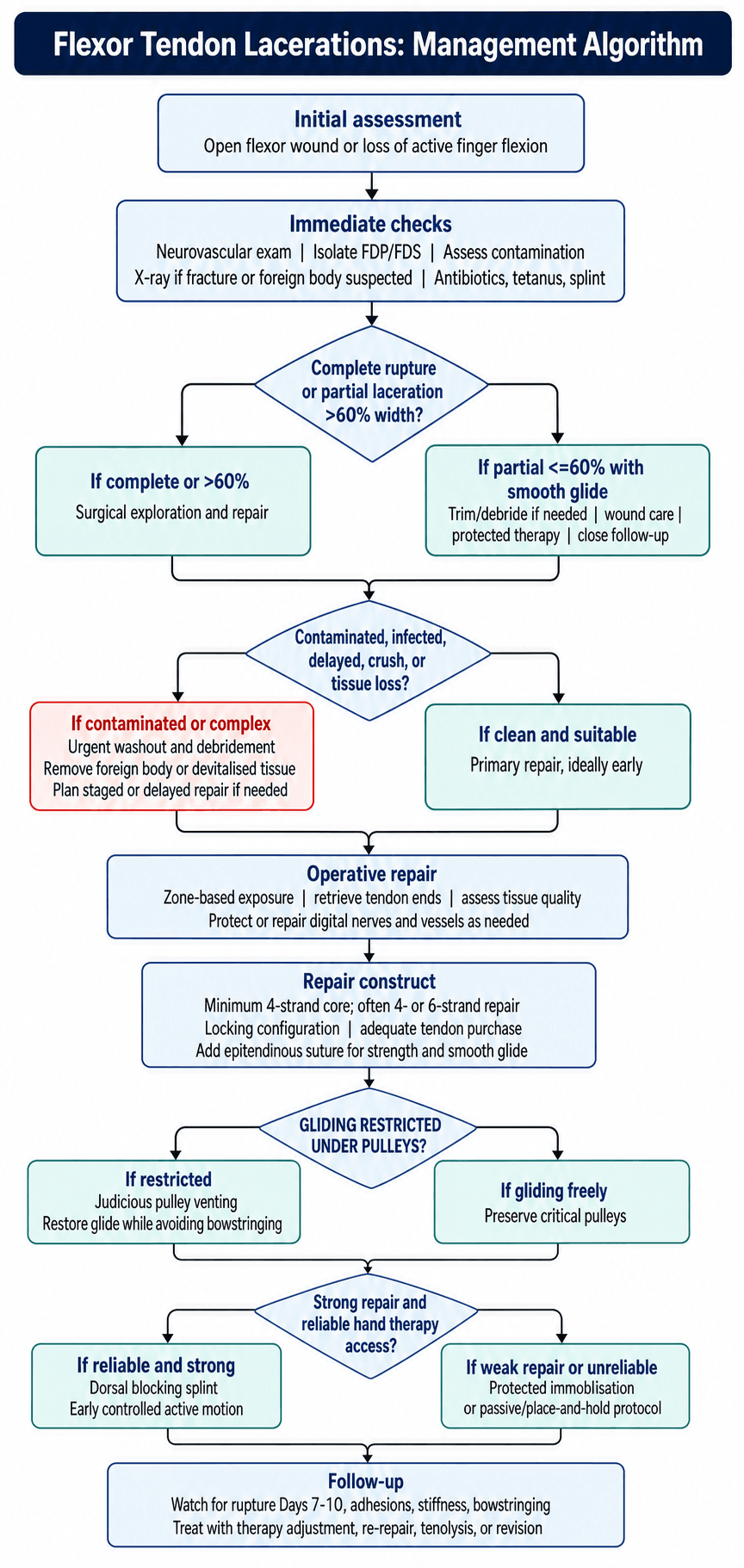Management algorithm for flexor tendon lacerations from initial assessment to follow-up