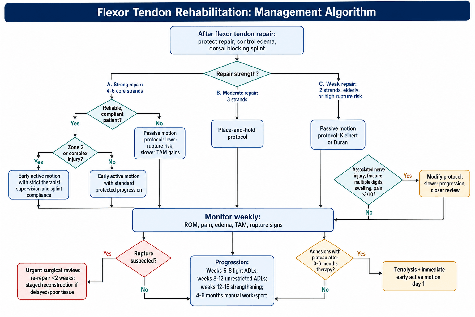 Flexor tendon rehabilitation protocol selection algorithm branching by repair strength, patient compliance and zone, with weekly monitoring for rupture and adhesions.