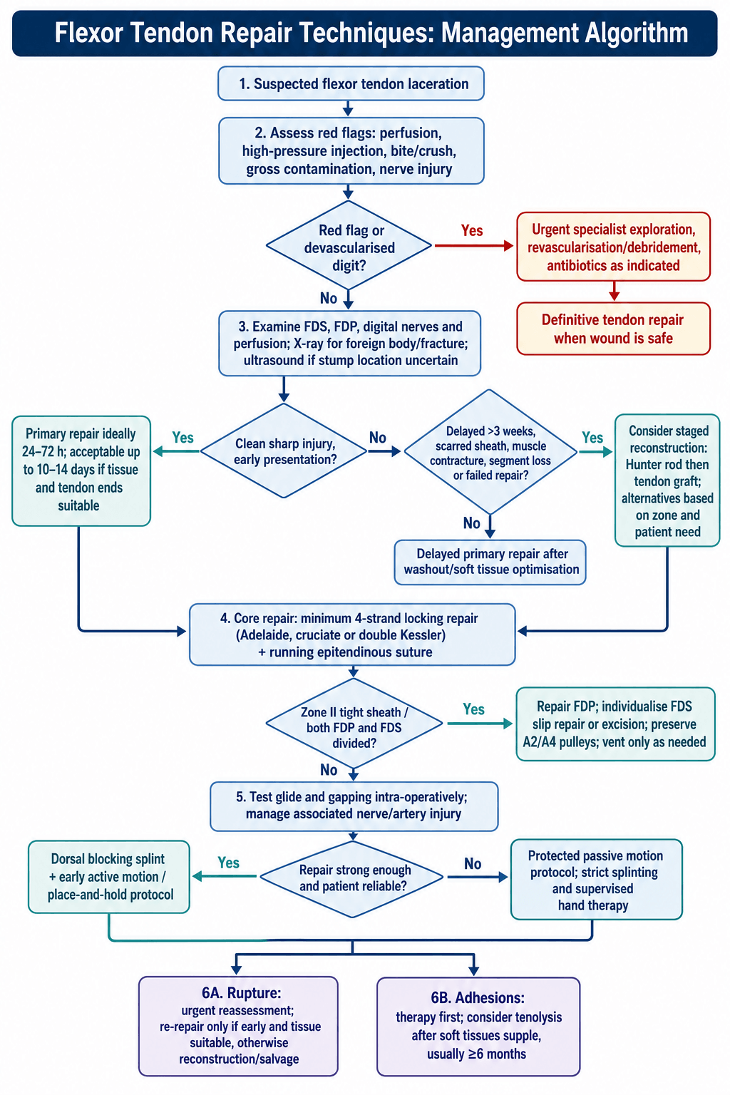 Management algorithm flowchart for flexor tendon laceration, from assessment through primary/delayed repair to complications.