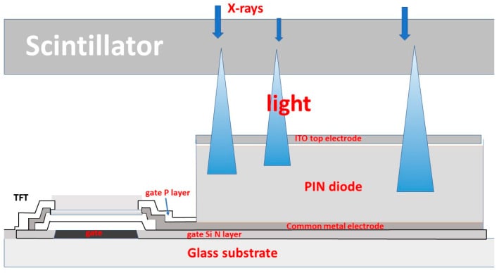 Cross-sectional schematic of an indirect-conversion flat-panel detector showing scintillator, photodiode and transistor layers.