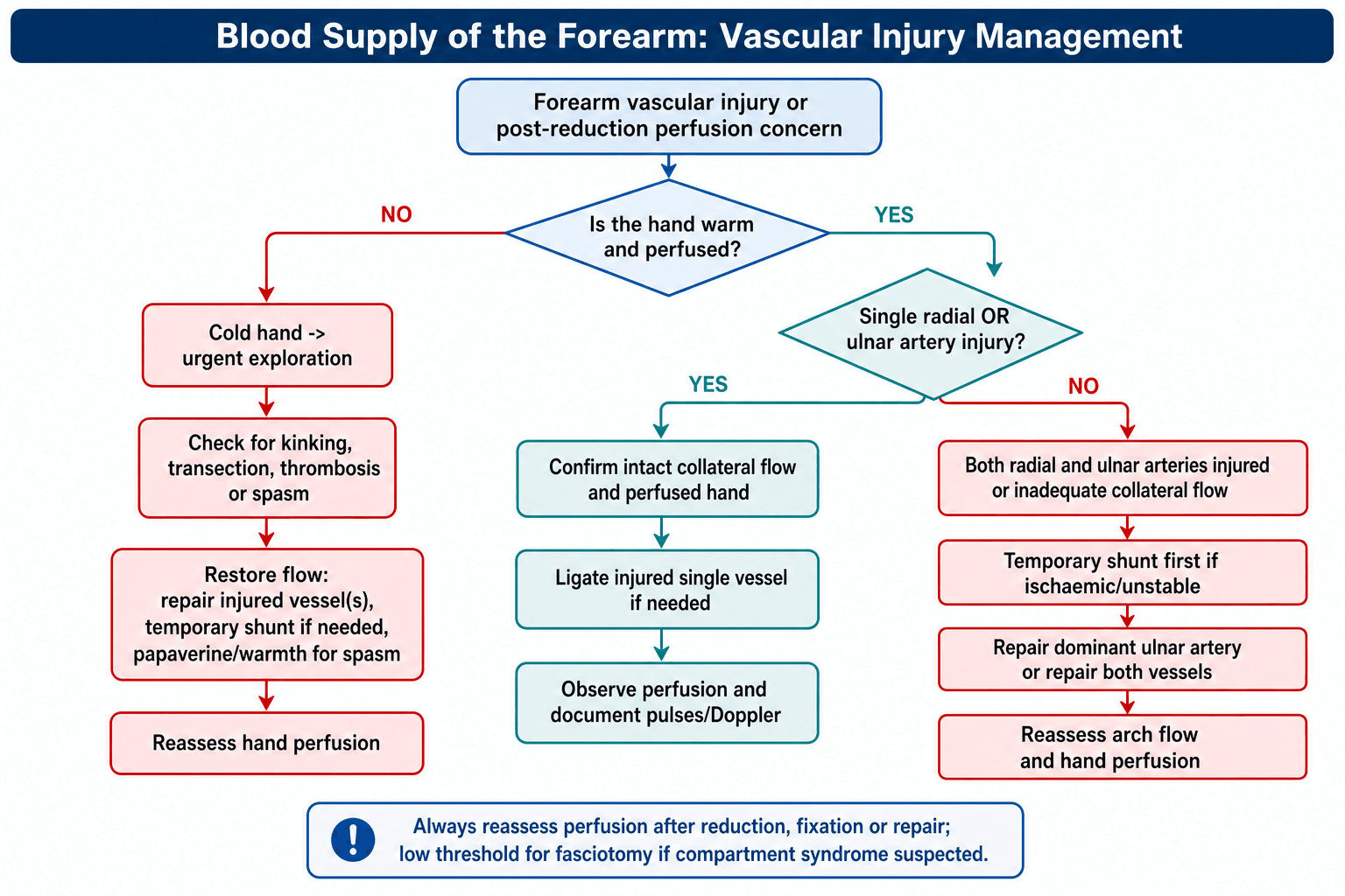 Flowchart for managing forearm vascular injury based on hand perfusion and which arteries are injured