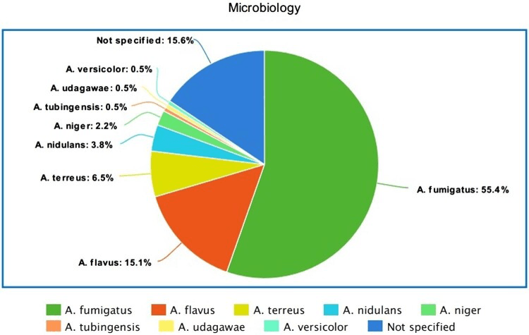 Pie chart titled Microbiology showing the breakdown of Aspergillus species, with A. fumigatus the largest segment