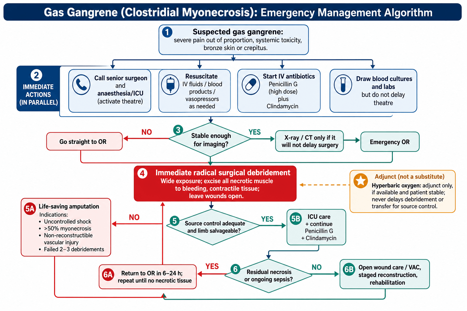 Gas Gangrene Management Algorithm
