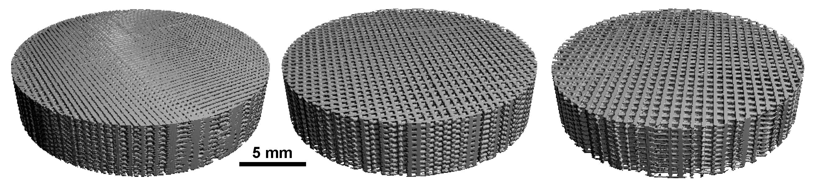 Photograph of three 3D-printed porous scaffold discs with a regular lattice architecture