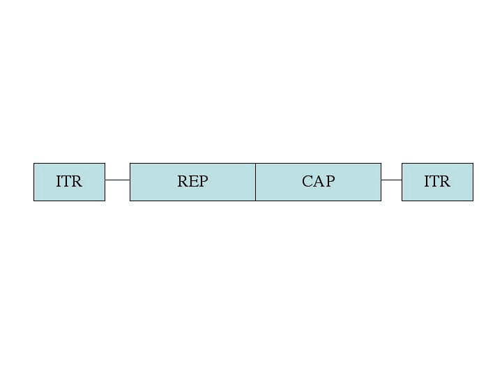 Genome map of adeno-associated virus showing the Rep and Cap genes flanked by inverted terminal repeats