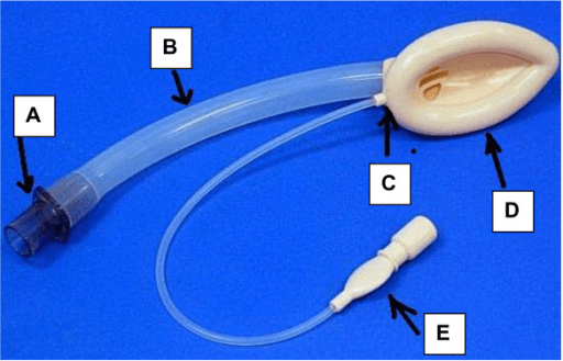 Labelled photograph of a Classic laryngeal mask airway showing connector, airway tube, junction, mask and pilot balloon
