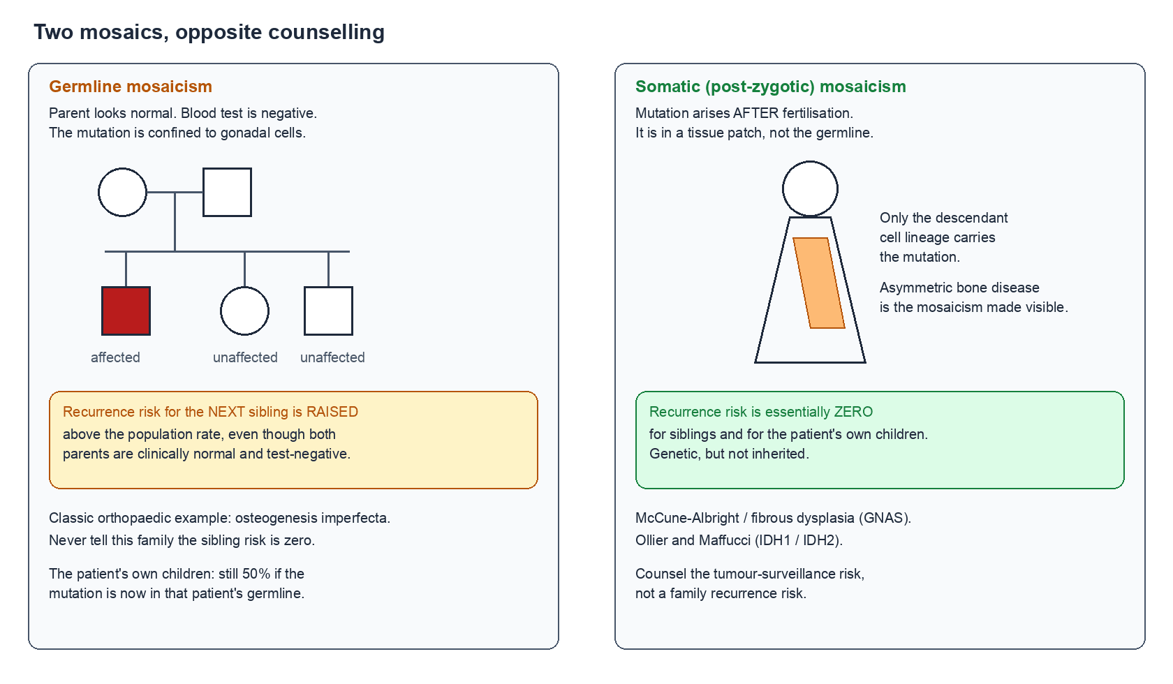 Two-panel schematic contrasting germline mosaicism, which raises sibling recurrence risk, with somatic mosaicism, which does not
