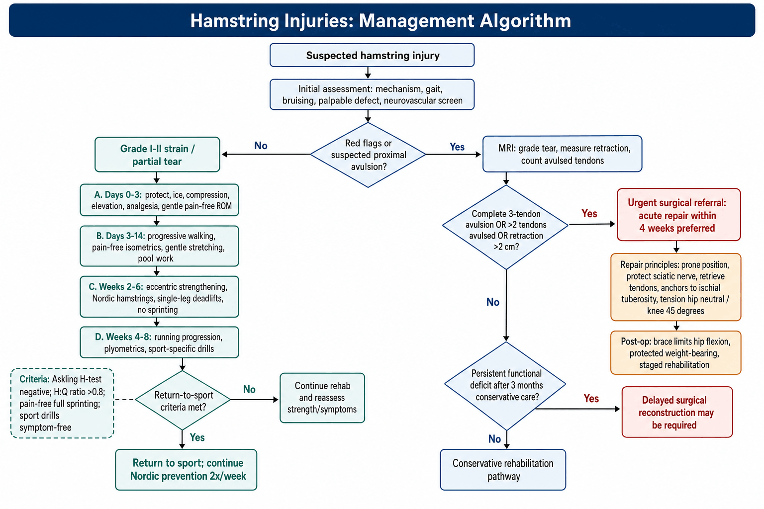 hamstring injuries management algorithm
