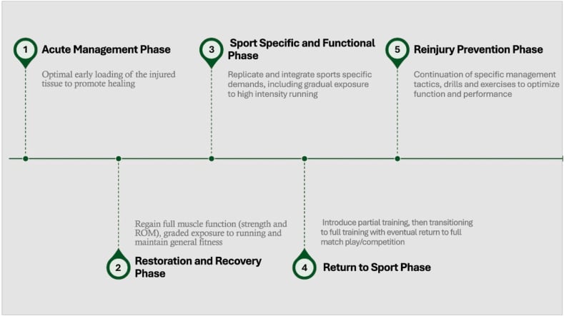 Five-phase hamstring rehabilitation and return-to-sport continuum
