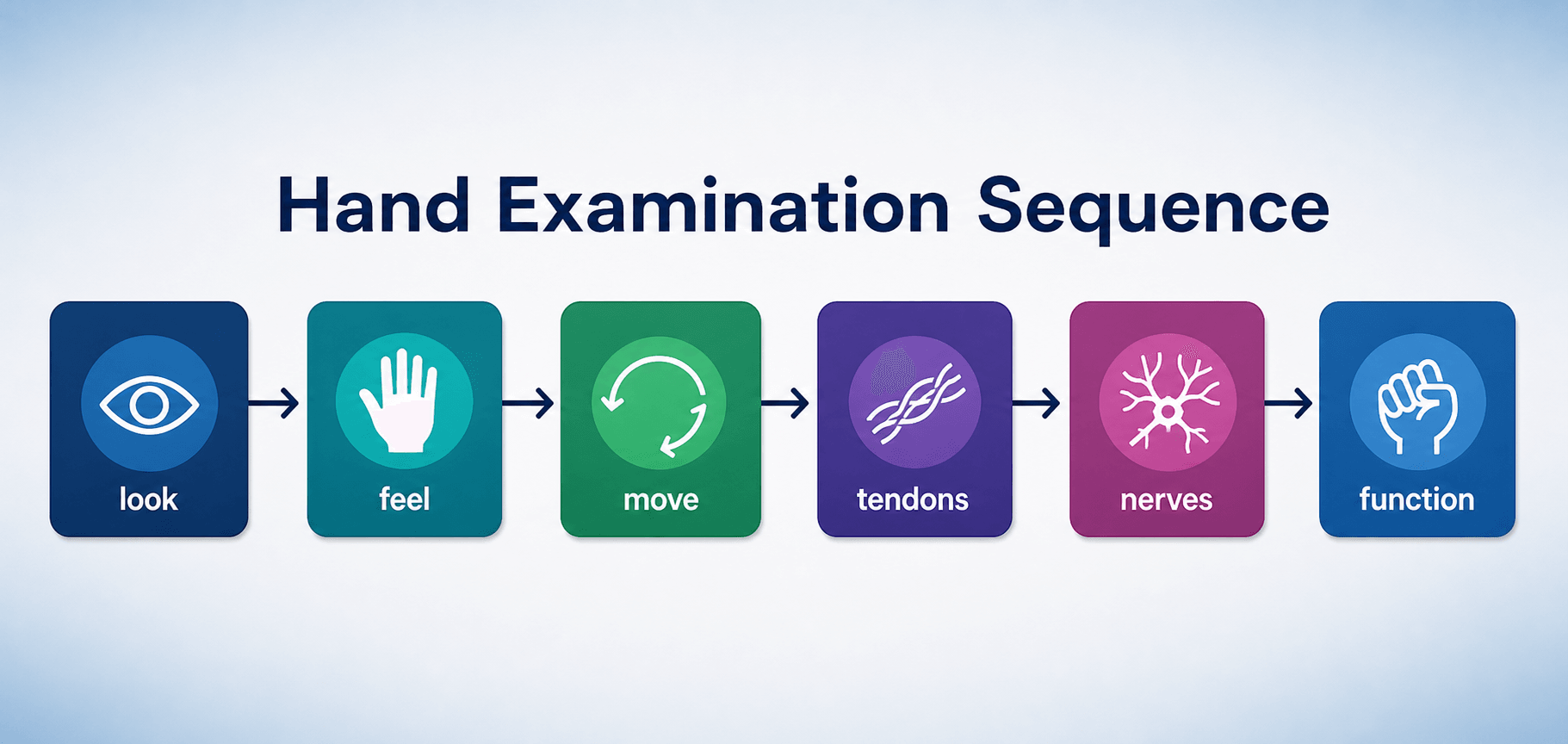 Workflow showing hand examination sequence: look, feel, move, tendons, nerves and function