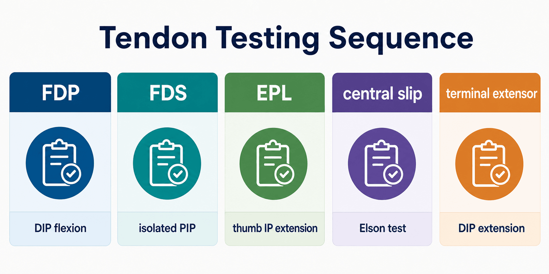 Table showing tendon testing sequence for FDP, FDS, EPL, central slip and terminal extensor