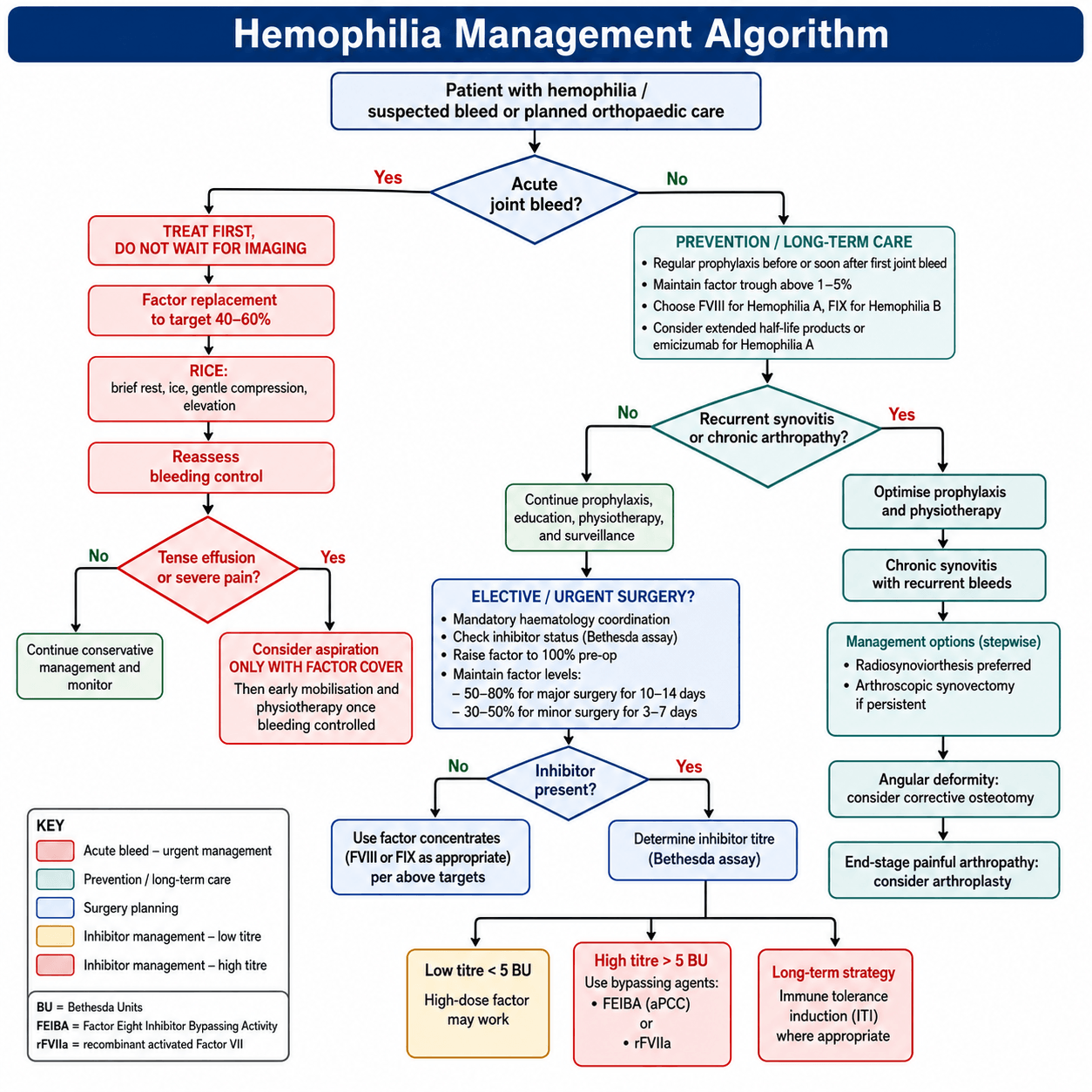 Hemophilia orthopaedic management algorithm