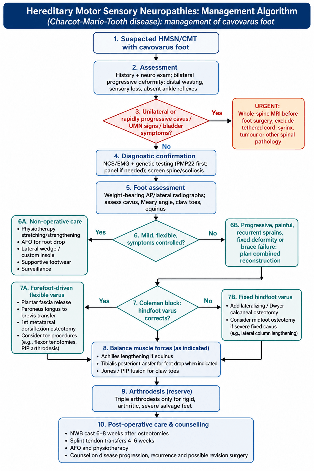 Management algorithm for the CMT cavovarus foot