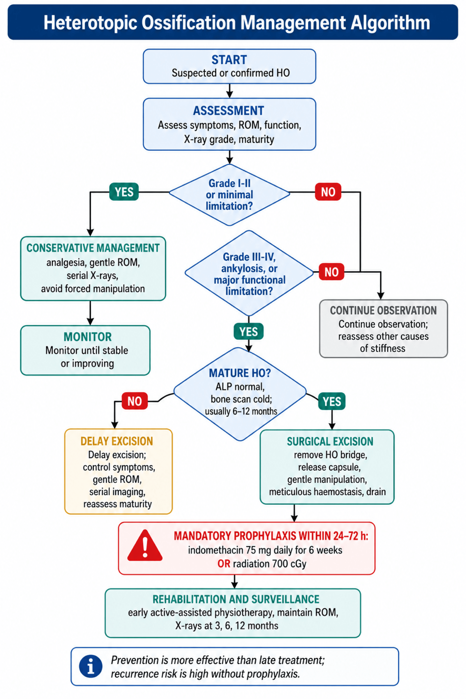 Flowchart for management of heterotopic ossification from grading through conservative care or excision and mandatory prophylaxis